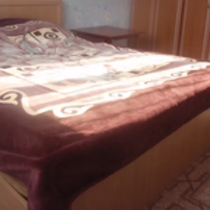 сутки часы  центр 2